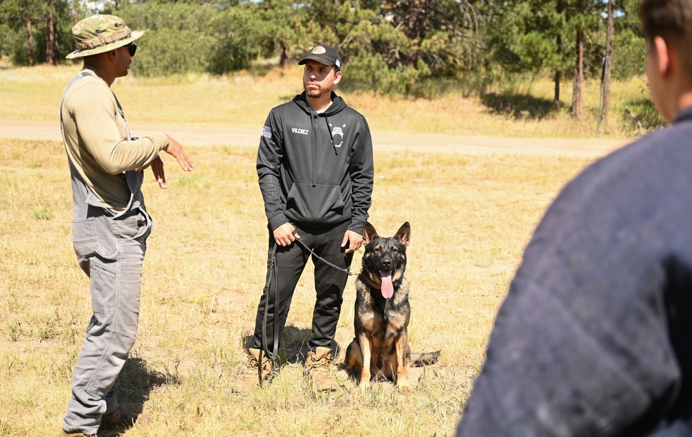 Military working dogs train at U.S. Air Force Academy