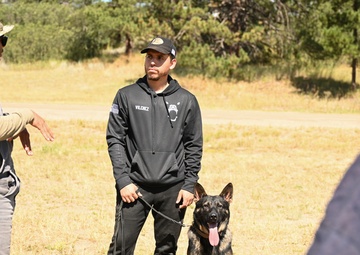 Military working dogs train at U.S. Air Force Academy