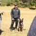 Military working dogs train at U.S. Air Force Academy