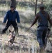 Military working dogs train at U.S. Air Force Academy