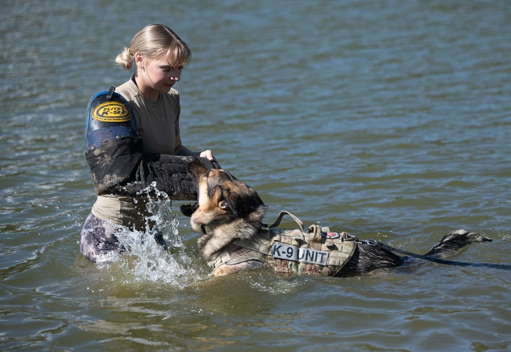 Military working dogs train at U.S. Air Force Academy