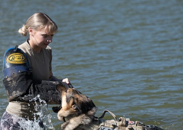 Military working dogs train at U.S. Air Force Academy
