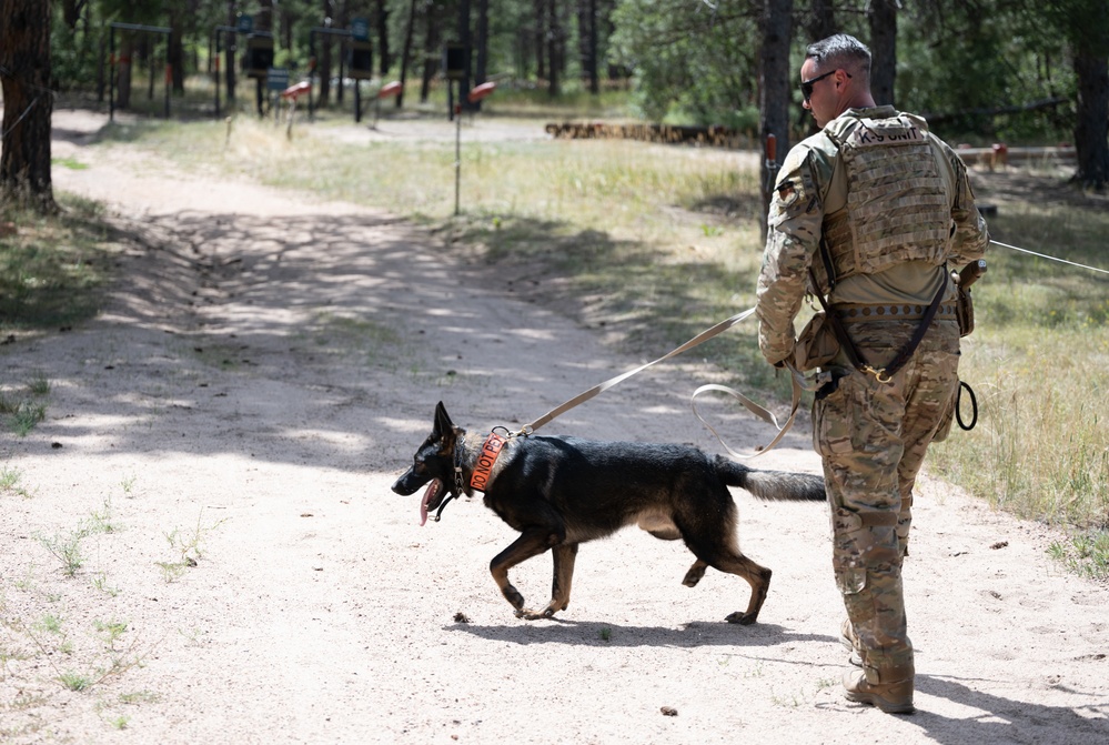 Military working dogs train at U.S. Air Force Academy