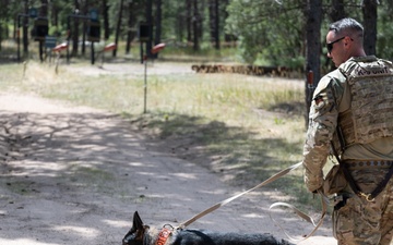 Military working dogs train at U.S. Air Force Academy