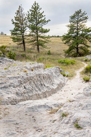 Pacific Pulse: 3 May 2019