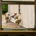 Operation Rooftop 2025 Day 2