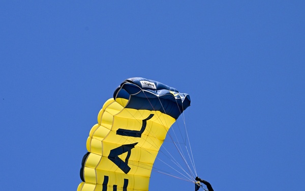 U.S. Navy Parachute Team