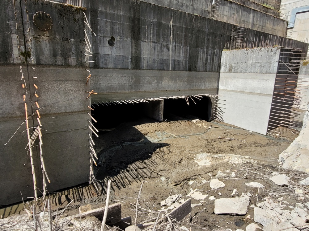 Dworshak Flooded in Key Step Toward Regional Energy Growth