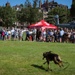 Marine Week Boston, Static Displays