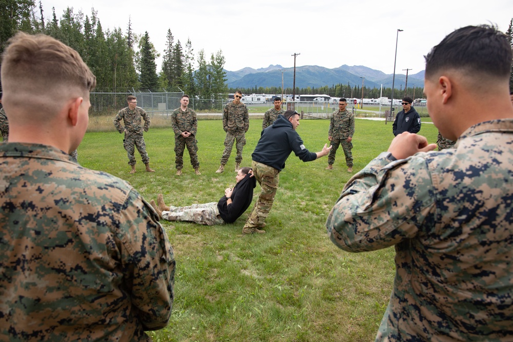 4th Law Enforcement Battalion conducts TCCC at AE25
