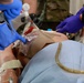 Medical Training