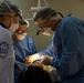 USAF Dental Teams build Readiness, Restore Smiles in Paraguay