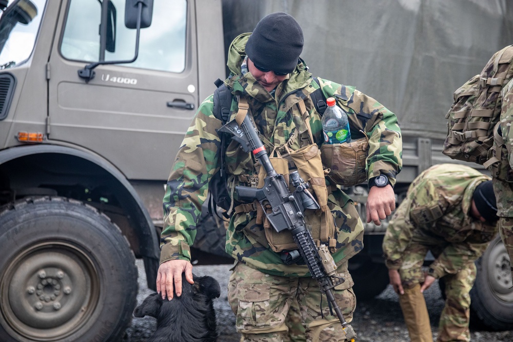 SV25 Force integration training