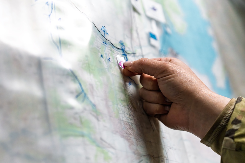 SV25 The 207th Digital Liaison Detachment