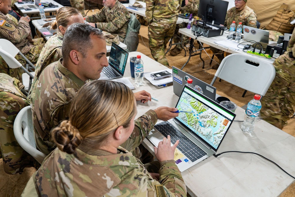 SV25 The 207th Digital Liaison Detachment