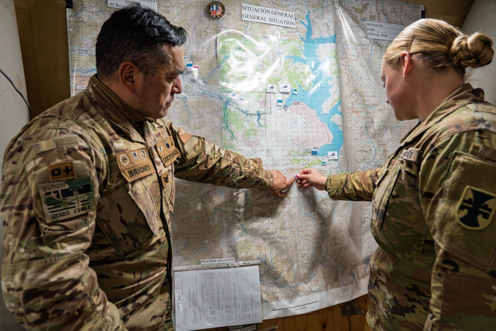 SV25 The 207th Digital Liaison Detachment