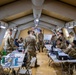 SV25 The 207th Digital Liaison Detachment