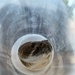U.S. Navy Sailors participate in snake handlers course
