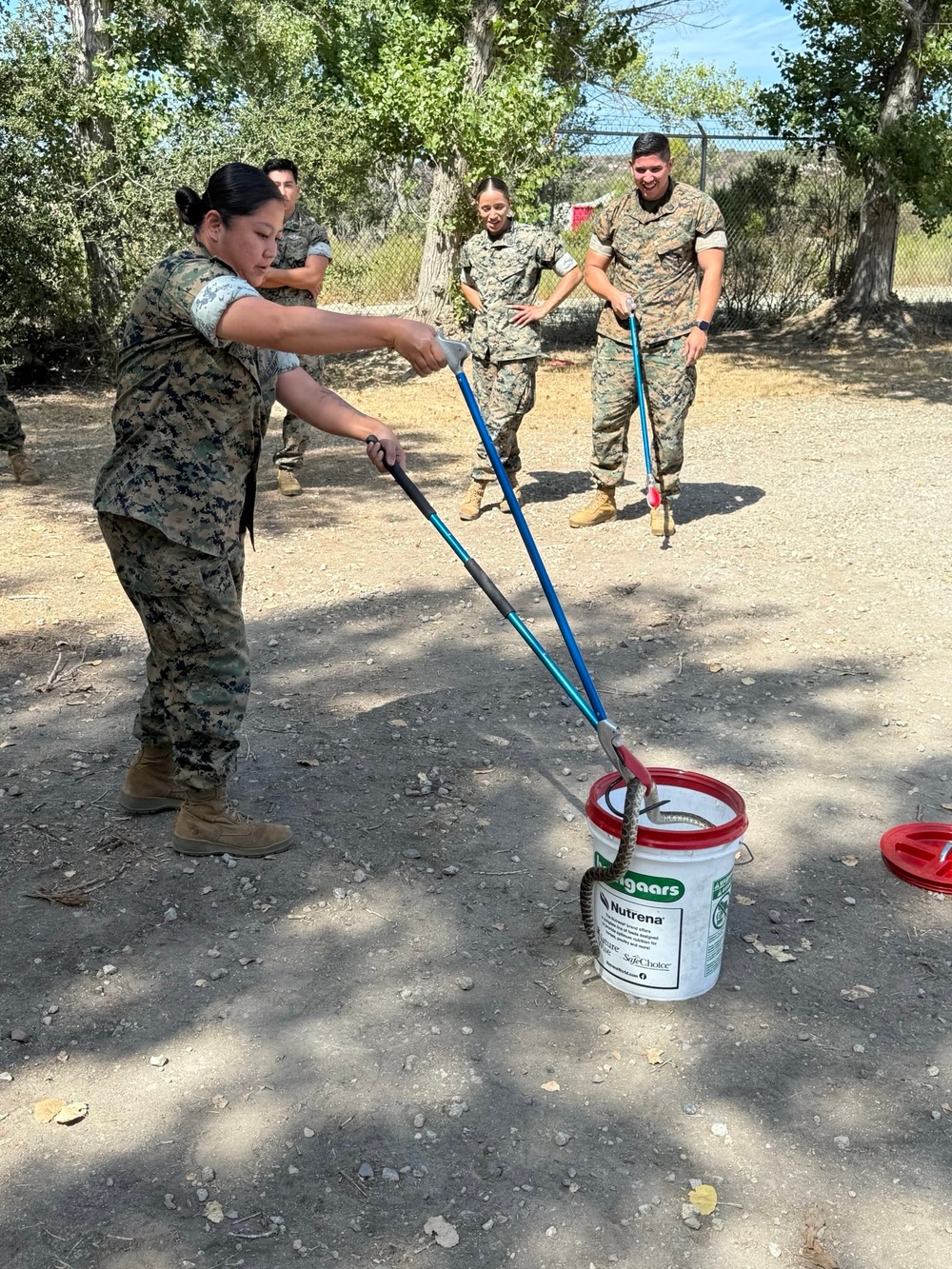 U.S. Navy Sailors participate in snake handlers course