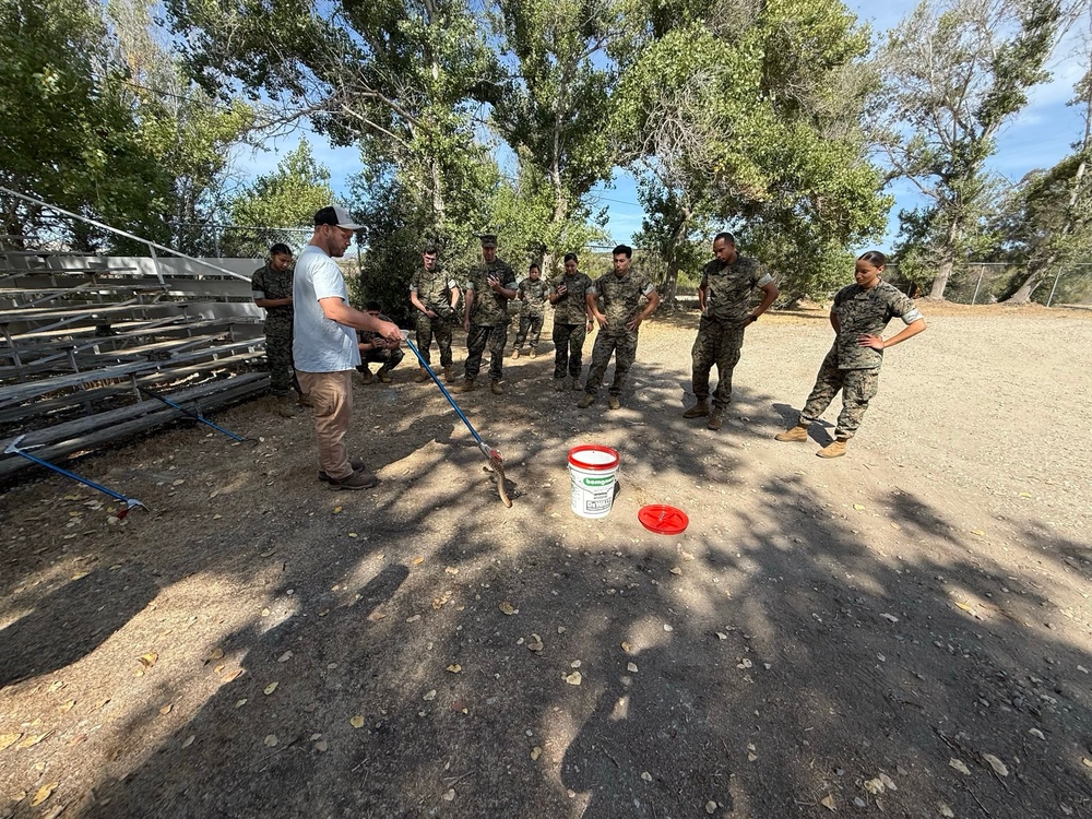 U.S. Navy Sailors participate in snake handlers course