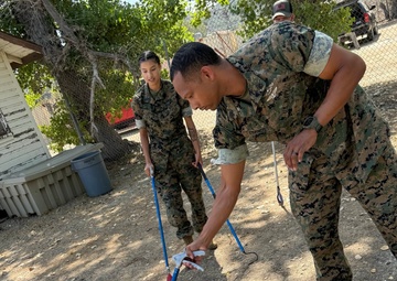 U.S. Navy Sailors participate in snake handlers course