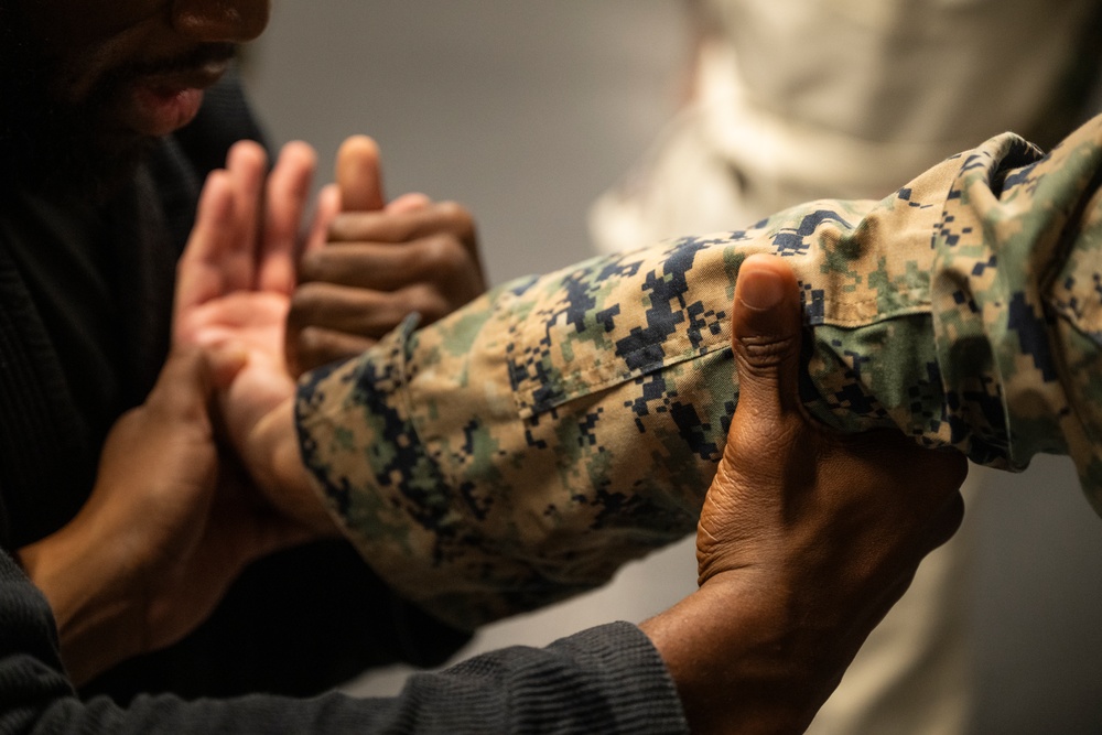 Marine Week Boston; Martial Arts Collaboration