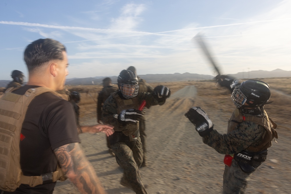 Marines with Martial Arts Instructor Course 106-25 participate in culminating event