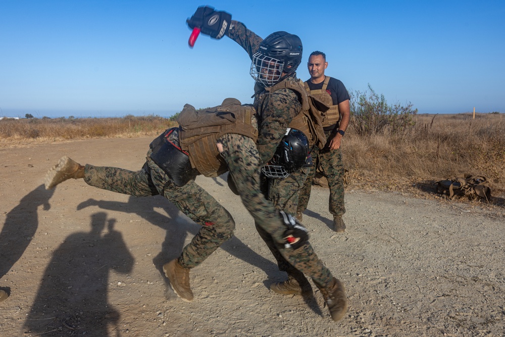 Marines with Martial Arts Instructor Course 106-25 participate in culminating event