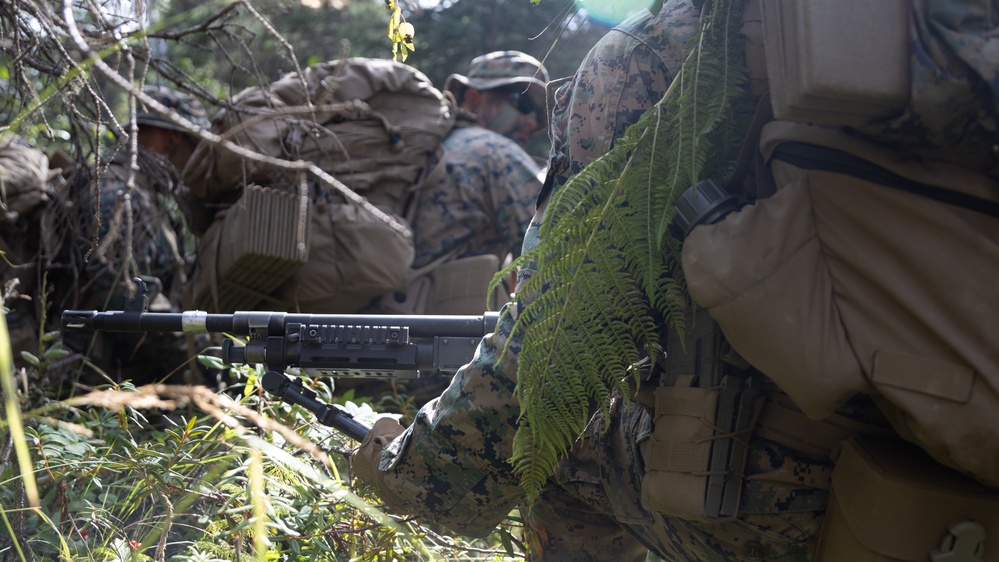 U.S. Marines Conduct Patrol Base Operations Training during AE25