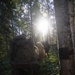 U.S. Marines Conduct Patrol Base Operations Training during AE25