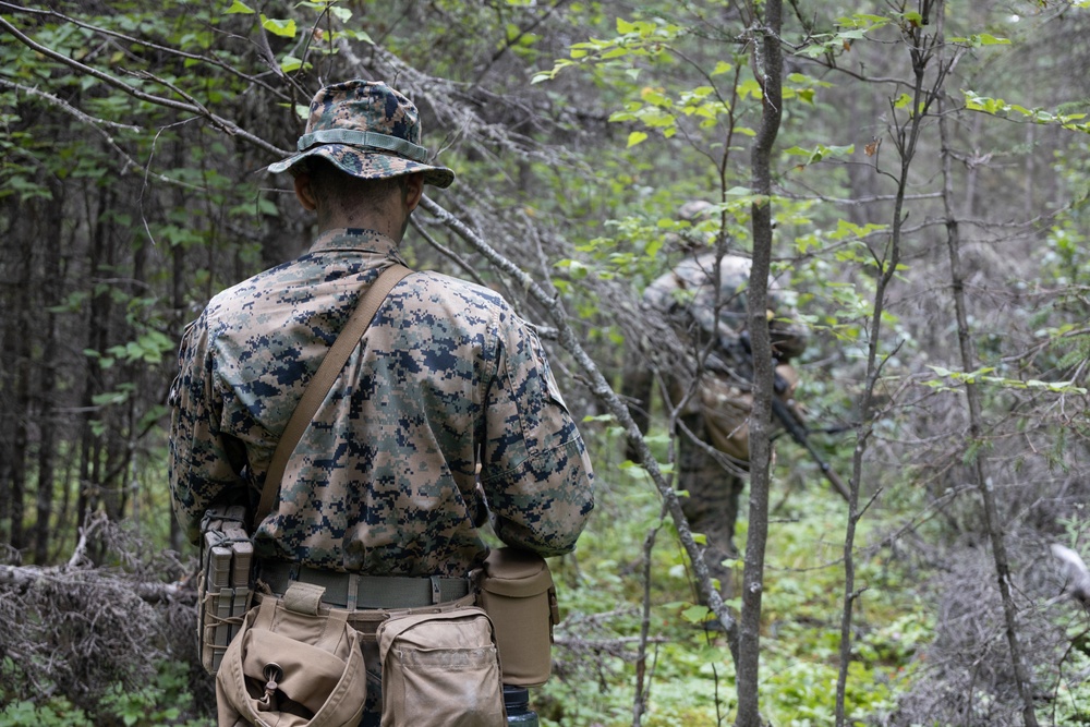 U.S. Marines Conduct Patrol Base Operations Training during AE25