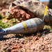 EOD teams tackle trench clearing scenario at IED Rodeo