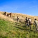 French EOD team clears a simulated “kill house” bunker during IED Rodeo