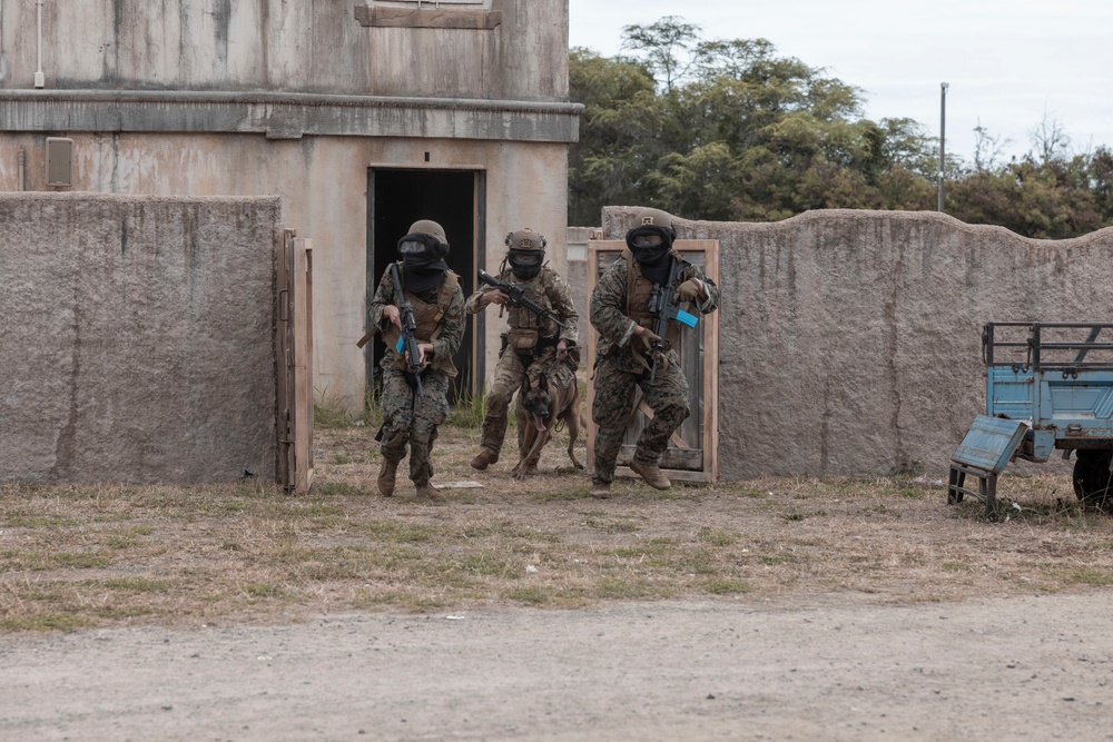 U.S. Marines Conduct Urban Combat Training at MCTAB