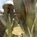 12th LCT, 12th MLR, 12th Marine Littoral Regiment, USMC, Marines