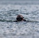 Tygart Lake Hosts National Guard Ridge Runner Exercise