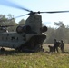 USAREUR-AF Best Squad Competition: Patrol, Medical and CBRN