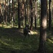 USAREUR-AF Best Squad Competition: Patrol, Medical and CBRN