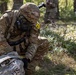 U.S. Army Europe and Africa Best Squad Competition: STX