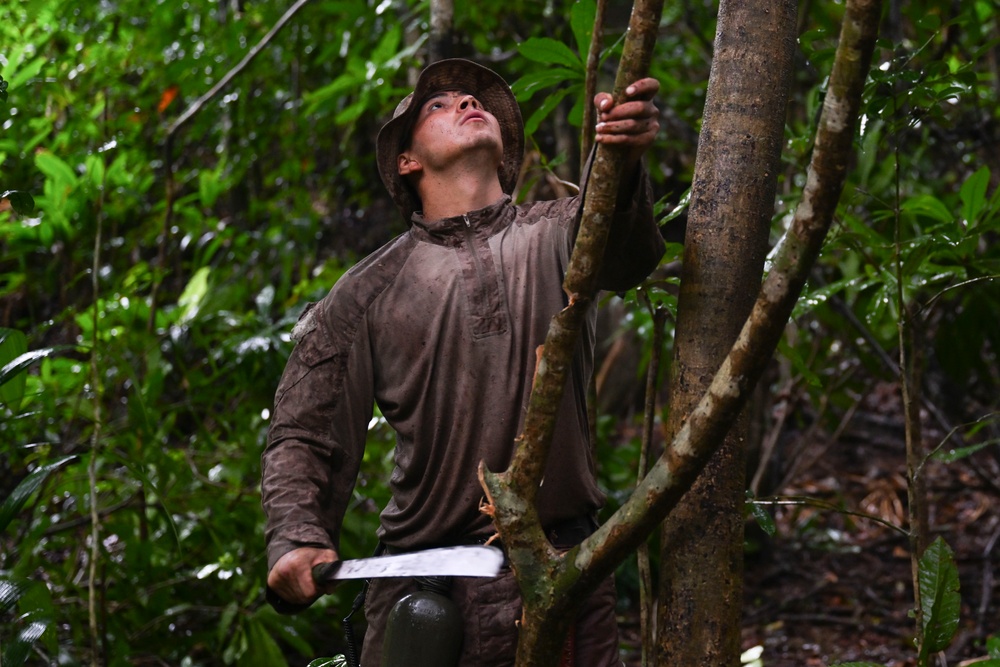 U.S. Marines and Panamanians participate in combined jungle course