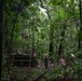 U.S. Marines and Panamanians participate in combined jungle course