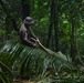 U.S. Marines and Panamanians participate in combined jungle course