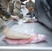 AFMAO makes history with first expeditionary mortuary at Northern Strike 25-2
