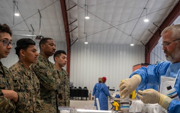 AFMAO makes history with first expeditionary mortuary at Northern Strike 25-2