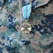 MCIC Marine is Awarded Joint Service Medal