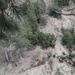 101st Soldiers climbing a cliff side