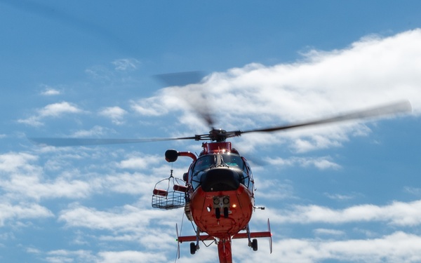 Submarine Sailors and Coast Guardsmen Complete MEDEVAC Training