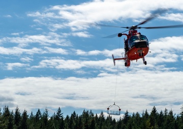 Submarine Sailors and Coast Guardsmen Complete MEDEVAC Training
