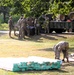 279th Engineer Utilities Detachment puts finishing touches on 2025 sidewalk troop project at Fort McCoy