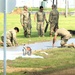 279th Engineer Utilities Detachment puts finishing touches on 2025 sidewalk troop project at Fort McCoy
